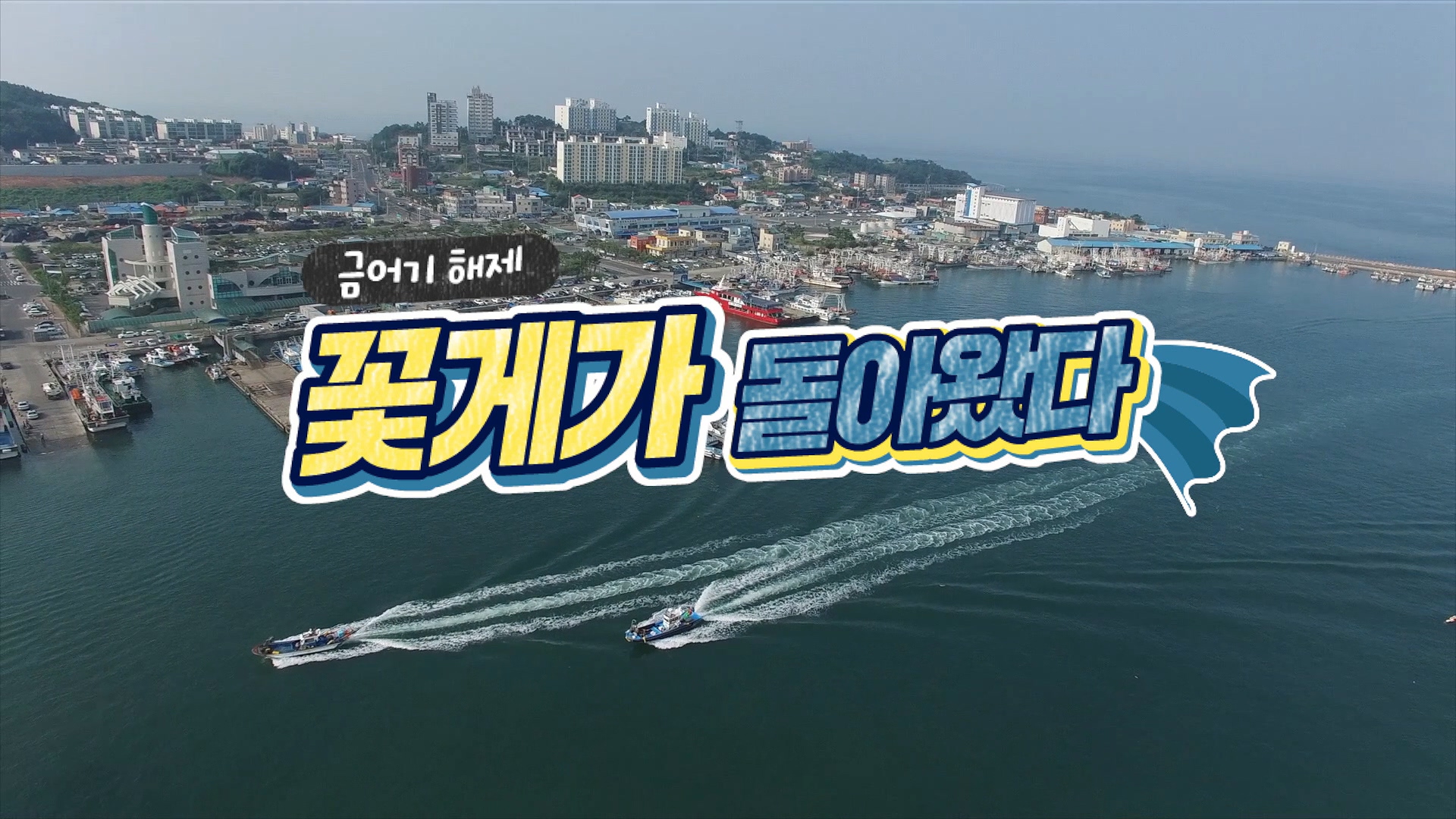 보령 특산물 '꽃게'